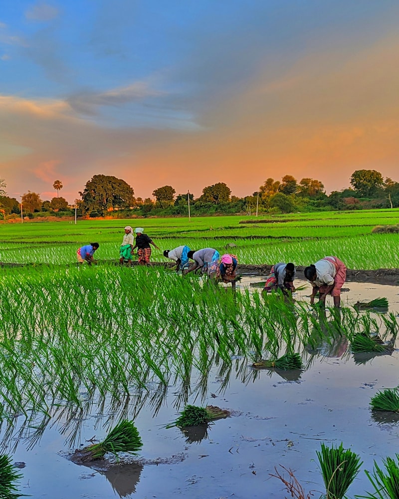 Agriculture